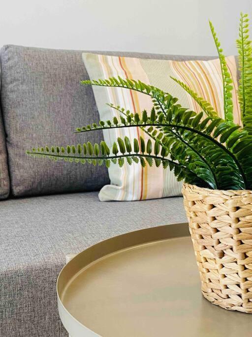Nice & Cozy Flat Close The Beach فالنسيا المظهر الخارجي الصورة