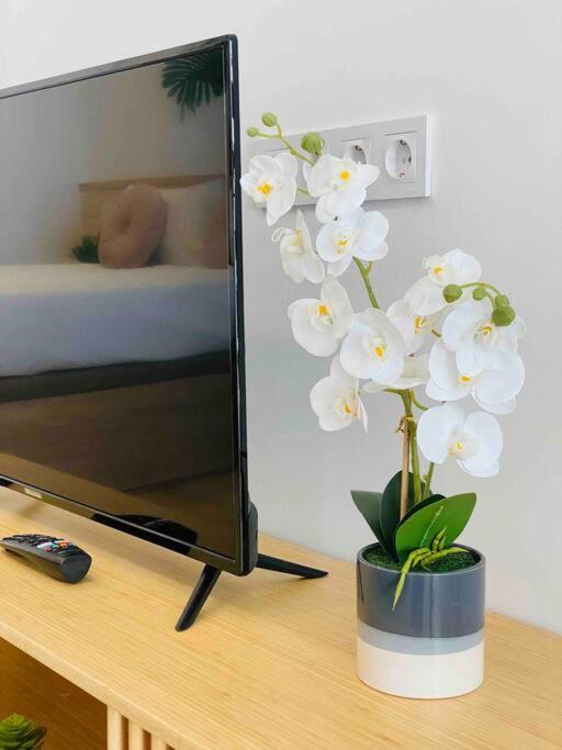 Nice & Cozy Flat Close The Beach فالنسيا المظهر الخارجي الصورة